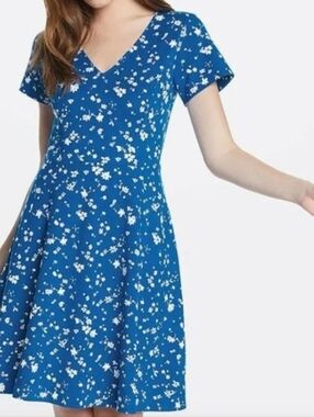 Draper James Blue Floral V-Neck A-Line Dress